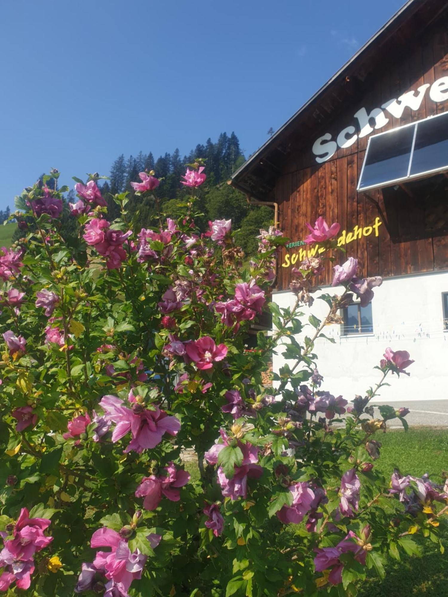 Ferienhaus Schwendehof Fontanella Eksteriør billede